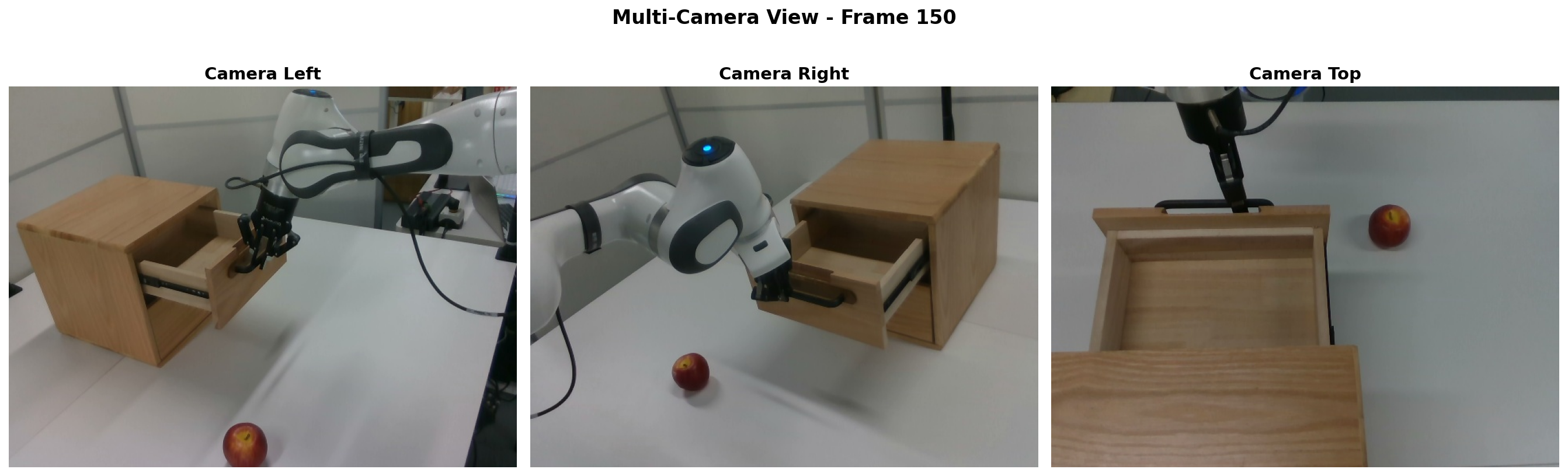 Collaborative Dual-Arm Collection