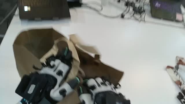 Egocentric (head-mounted) preview